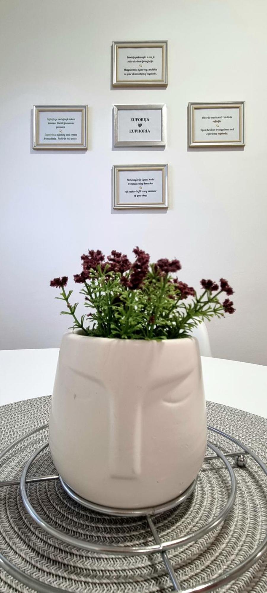 Euforia Apartment Belgrado Esterno foto